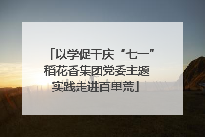 以学促干庆“七一” 稻花香集团党委主题实践走进百里荒